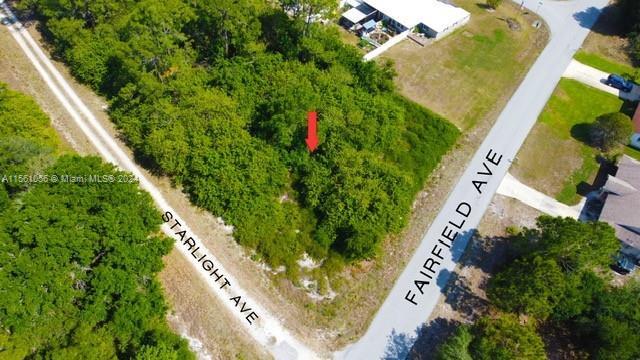 217 Starlight Ave, Lake Placid, Florida 33852, USA