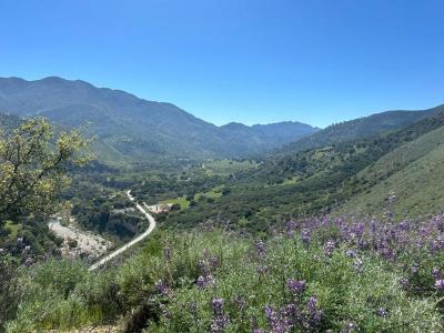 Arroyo Seco Road, Greenfield, Kaliforniya 93927, Amerika Birleşik Devletleri