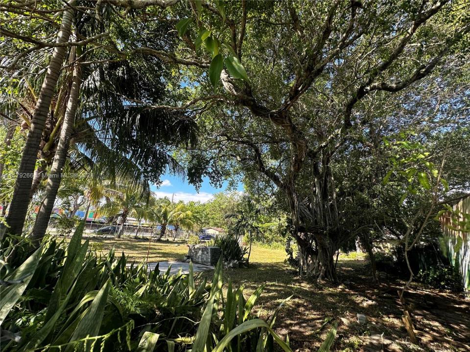 5804 NE 2nd Ave, Miami, 佛羅里達州 33137, 美國