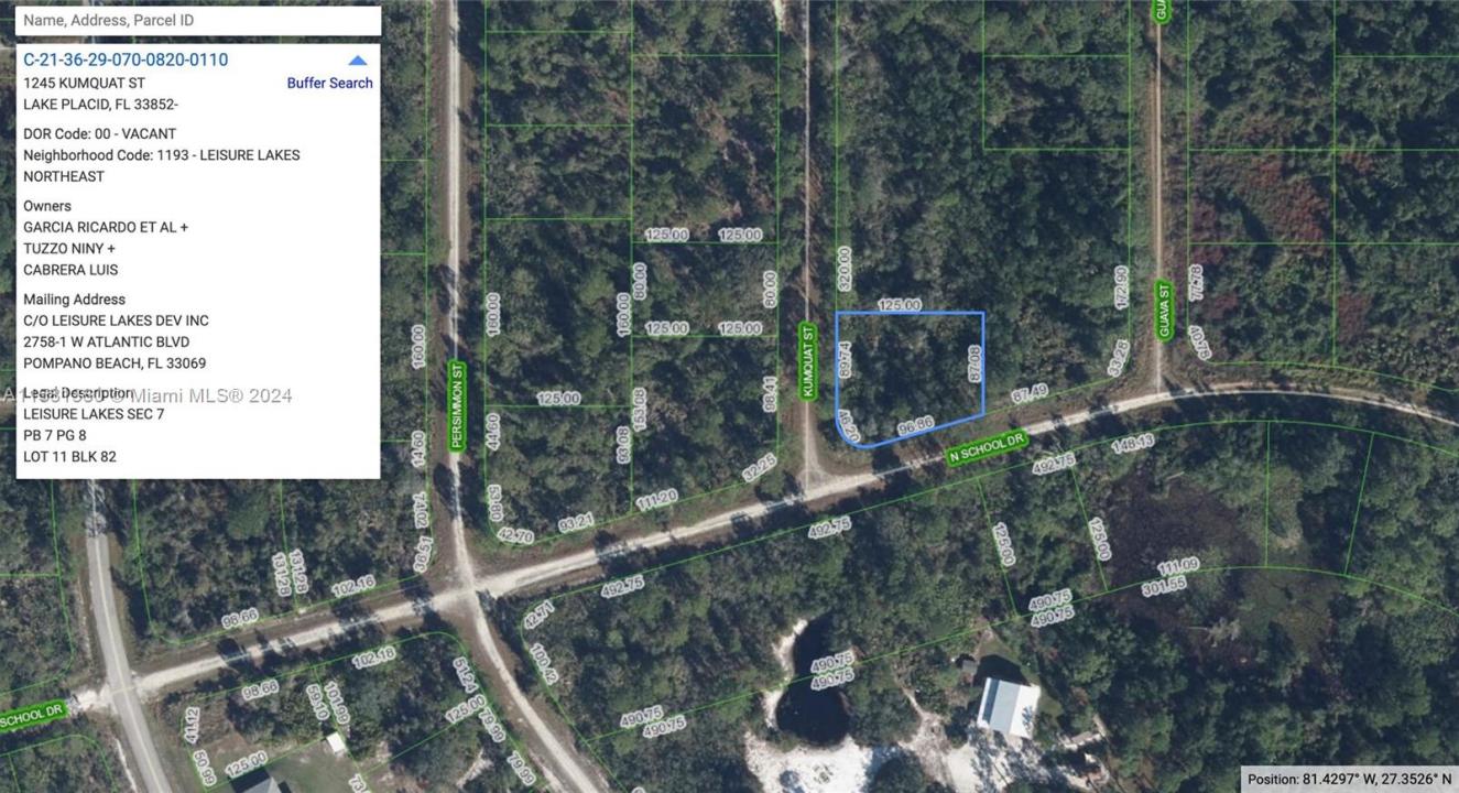 1245 KUMQUAT ST, Lake Placid, פלורידה 33852, ארצות הברית של אמריקה