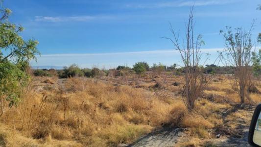 81st Avenue, Thermal, 加利福尼亚州 92274, 美国