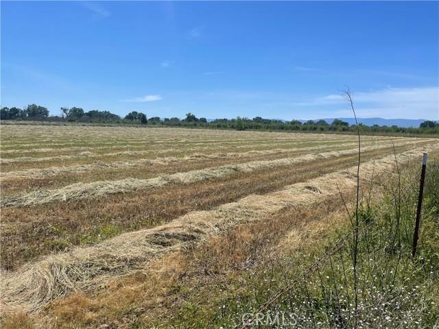 Reno Avenue, Gerber, California 96035