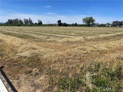 Reno Avenue, Gerber, California 96035