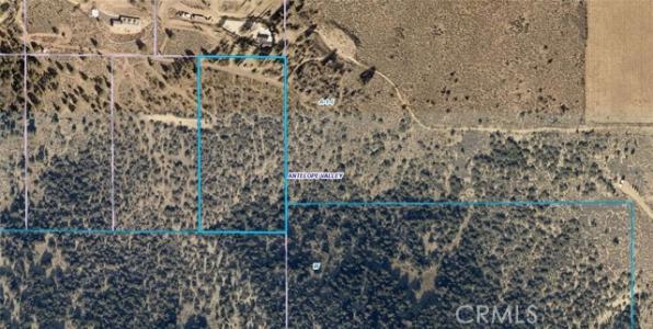 Juniper Hills Road, Juniper Hills, 加州 93543, 美國