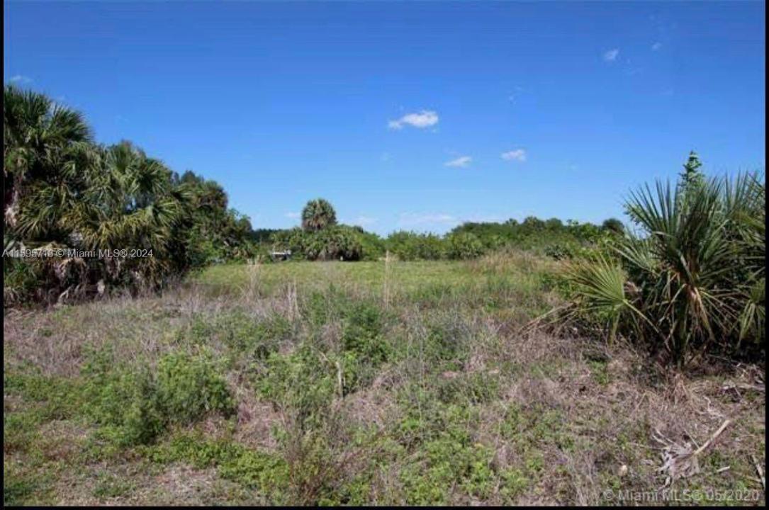 232 Sparkle Dr, La Belle, Floride 33935, États-Unis