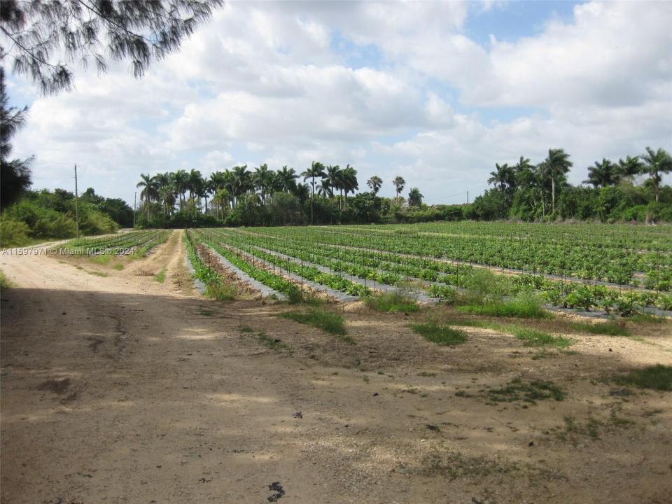 19922 SW 304th Street, Homestead, فلوريدا 33030, الولايات المتحدة