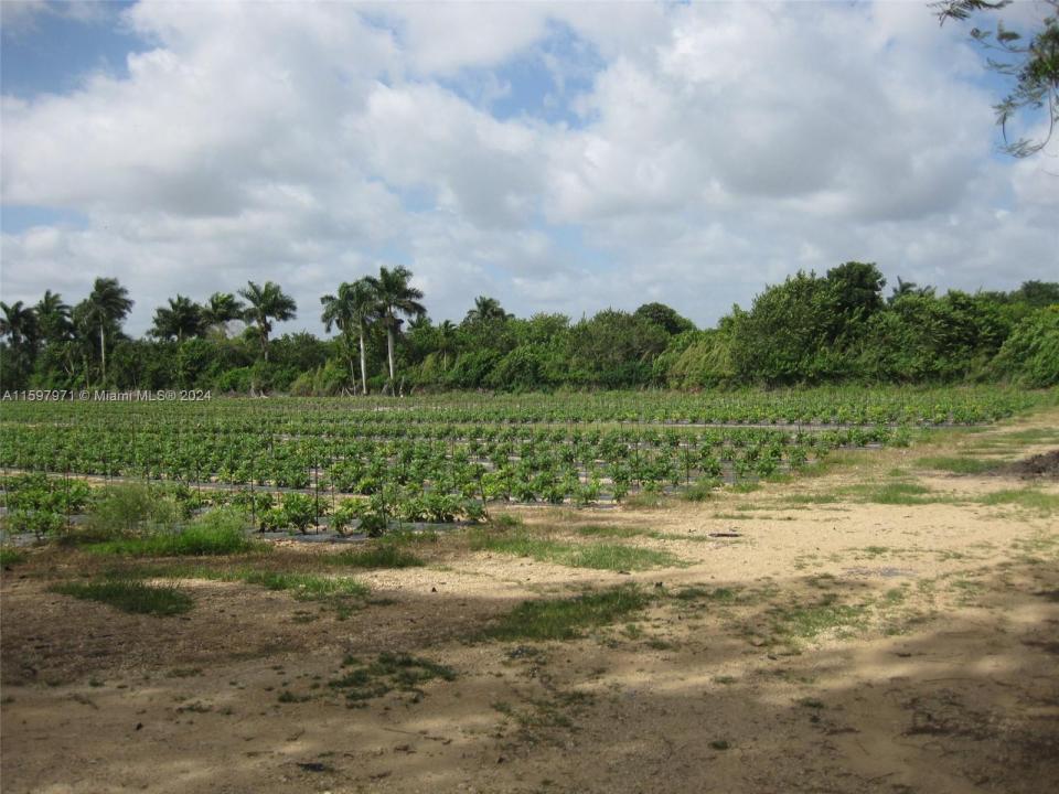 19922 SW 304th Street, Homestead, فلوريدا 33030, الولايات المتحدة