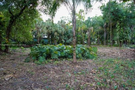 385 Caloosa Dr, La Belle, Floride 33935, États-Unis