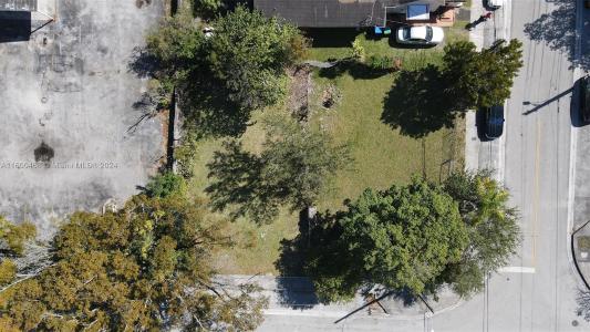 3373 Thomas Ave, Miami, Florida 33133, USA