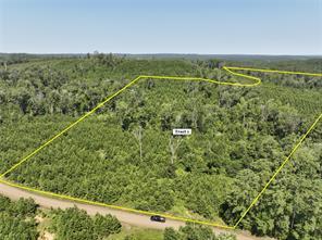 01 Carters Ferry Road, Hemphill, טקסס 75959, ארצות הברית של אמריקה 