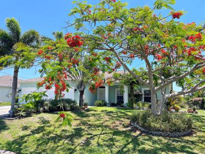 6461 NW Frenze Street, Torino, Port Saint Lucie, Florida 34986