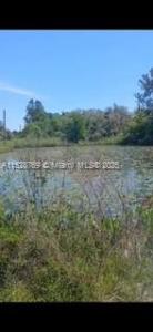 0 Richardson Blvd, Other City - In The State Of Florida, Florida 33597, USA