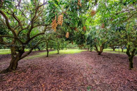 24350 SW 182nd Ave, Unincorporated Dade County, 플로리다 33031, 미국