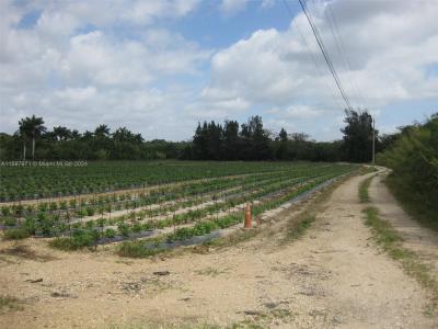 19922 SW 304th Street, Homestead, Florida 33030