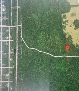 No Street Street, Deland, Florida 32720, USA