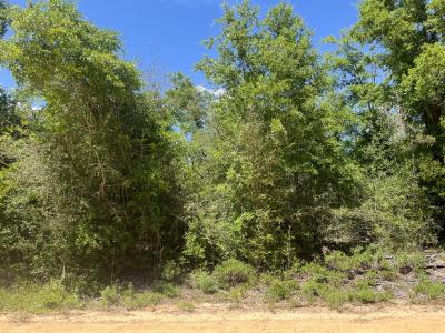 0 Hocking Street, Alford, Floride 32420, États-Unis