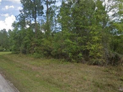 103 Glenside Street, Georgetown, Florida 32139