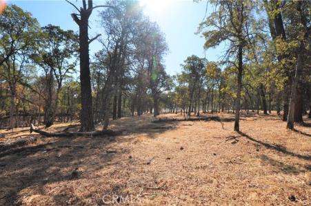 Orange Ave, Bangor, Califórnia 95966, Estados Unidos