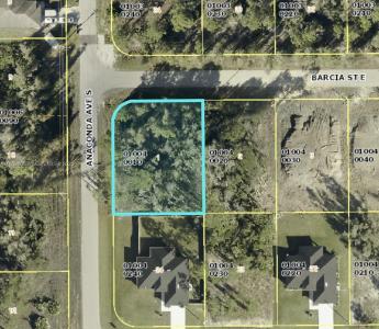 700 Barcia ST E, Lehigh Acres, Florida 33974, USA