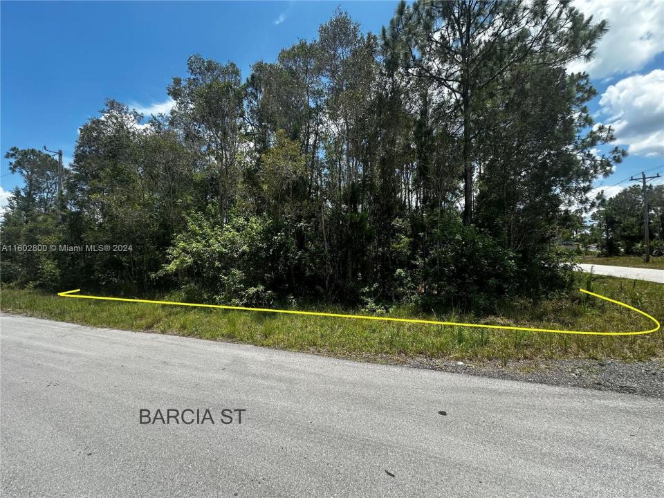 700 Barcia ST E, Lehigh Acres, فلوريدا 33974, الولايات المتحدة