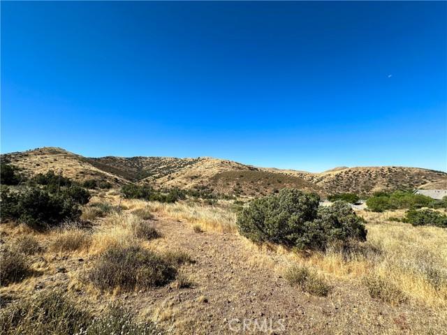 Big Springs Road, Agua Dulce, California 91350