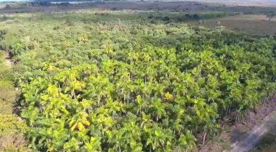 Outside Urban, Florida City, Флорида 33034, Соединенные Штаты