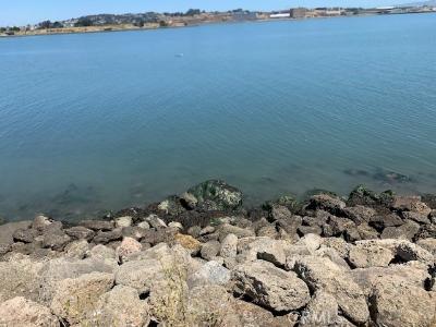 Hollister Avenue, San Francisco, Kalifornien 94124, USA