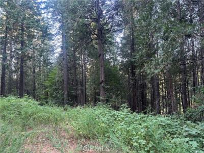 Hupp Coutolenc Road, Magalia, Califórnia 95954, Estados Unidos