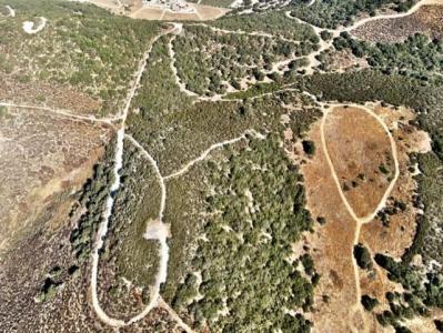 Pine Canyon Road, King City, カリフォルニア 93930, アメリカ合衆国