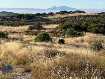 Pine Canyon Road, King City, カリフォルニア 93930, アメリカ合衆国