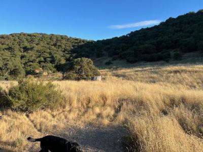 Pine Canyon Road, King City, カリフォルニア 93930, アメリカ合衆国