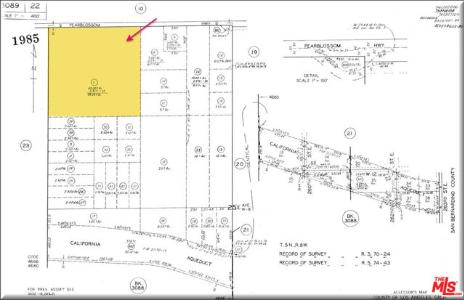 VAC/PEARBLOSSOM HWY/253, Pinon Hills, California 93591, Stati Uniti