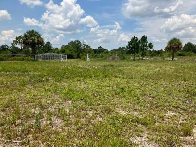 815 S Live Oaks St, Clewiston, Florida 33440, USA
