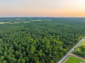 Tract 10 County Road 4222, Frankston, טקסס 75763, ארצות הברית של אמריקה