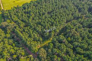 Tract 21 County Road 4224, Frankston, 德克薩斯州 75763, 美國