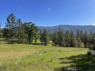 Triangle Road, Mariposa, California 95338, HOA KỲ