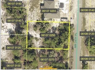 4524 NW 34 PL, Cape Coral, فلوريدا 33993, الولايات المتحدة