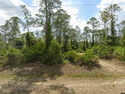 2121 Wellington Ave, Lehigh Acres, Florida 33920, USA