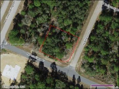 8760 N Athens, Citrus Springs, Florida 34433, USA