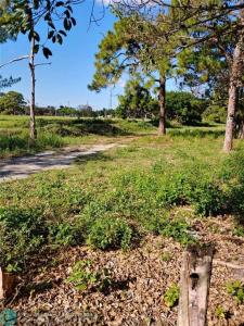 NW 13th St, Pompano Beach, Florida 33069, Estados Unidos