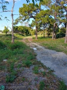 NW 13th St, Pompano Beach, Florida 33069, Estados Unidos