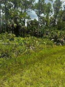 14104 Carrie Ave, Other City - In The State Of Florida, Florida 33953, USA