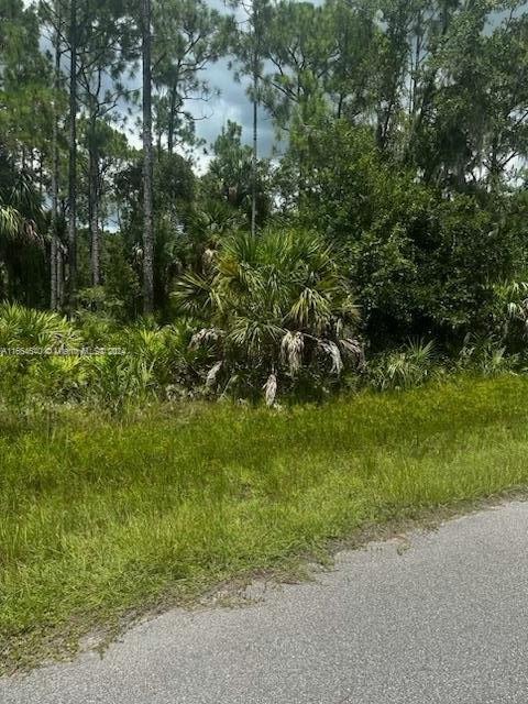 14104 Carrie Ave, Other City - In The State Of Florida, Florida 33953