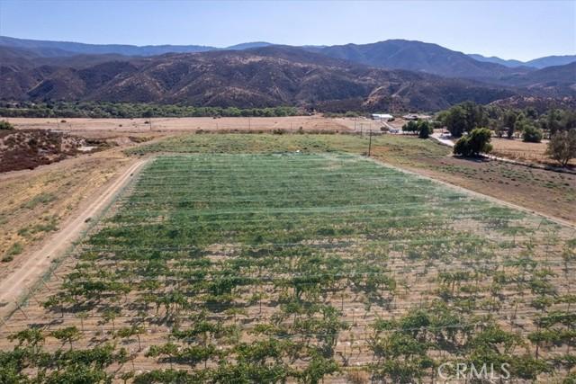Highway 79, Aguanga, California 92536, Estados Unidos