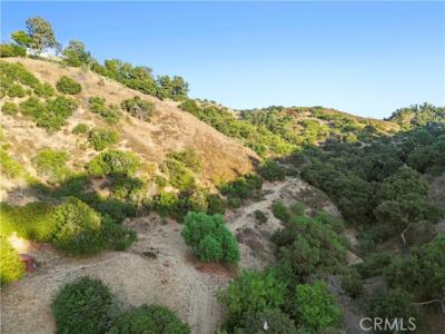 Vedado Avenue, Studio City, California 91604, Estados Unidos