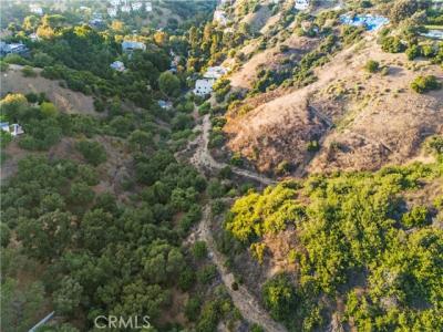 Vedado Avenue, Studio City, California 91604, Estados Unidos