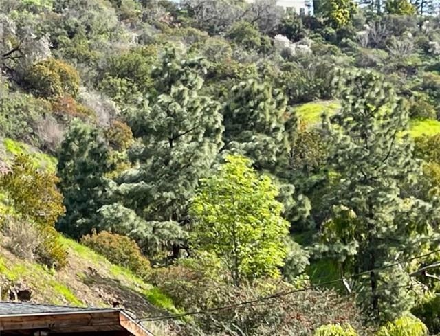 Off Beverly Glen Boulevard, Bel Air, كاليفورنيا 90077, الولايات المتحدة