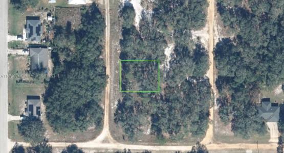 3110 N AMHERST RD, Avon Park, Florida 33825, USA