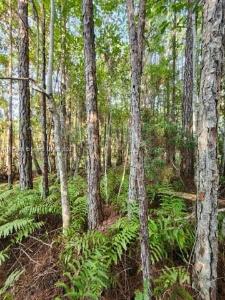 141 East Boundry Dr, Other City - In The State Of Florida, Florida 32139, USA