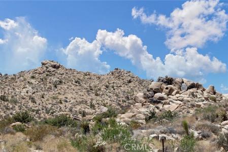 Mountain Trail, Joshua Tree, קליפורניה 92252, ארצות הברית של אמריקה 